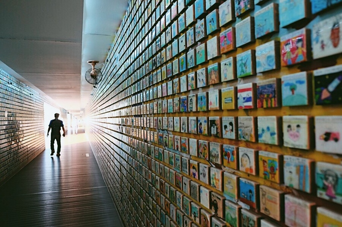 Cánh đồng lau sậy Hàn Quốc